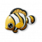 小丑鱼.png