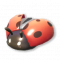 波点瓢虫.png