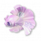 桃裙鱼.png