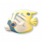 阳光鲽鱼.png