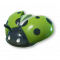绿点瓢虫.png