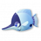 蓝尖蝶鱼.png