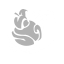 T UI Icon Skill 411.png