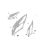T UI Icon Skill 528.png
