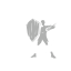 T UI Icon Skill 919.png
