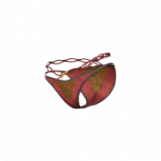 装备-宫女亵裤.png