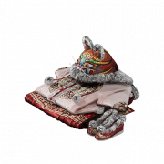 装备-金虎祥瑞·袄裙.png