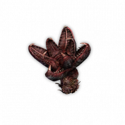 物品-水蛭头罩.png