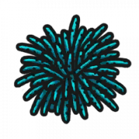 食材·海胆.png