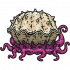 怪物·莓心海蚌.png