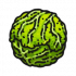 食材·圆白菜.png