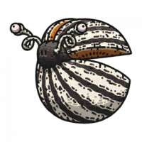 怪物·西瓜瓢虫-1星.png