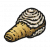 食材·象拔蚌.png