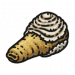 食材·象拔蚌.png