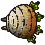 装备·盗梦拳刺.png