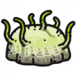 装备·须须帽.png