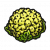 食材·菜花.png