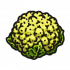 食材·菜花.png