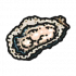 食材·生蚝.png