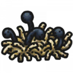 装备·千眼帽.png