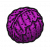 食材·紫甘蓝.png