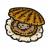 食材·扇贝.png