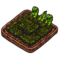 料理·外婆的香煎海苔.png