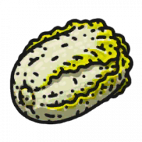 食材·娃娃菜.png