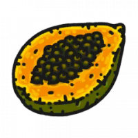 食材·木瓜.png