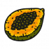 食材·木瓜.png