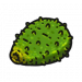 食材·仙人掌.png