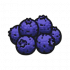 食材·蓝莓.png