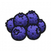食材·蓝莓.png