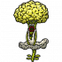 怪物·玛丽莲.菜花.png