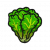 食材·生菜.png