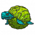 怪物·碰碰龟.png