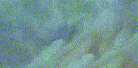 药沐月华-张仲景 出场动作.gif