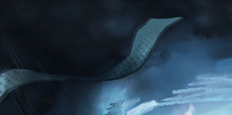 凤翥鸾回-势辛宪英 出场动作.gif