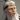 来敏-头像.png