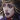段珪-头像.png