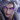 钟会（守卫剑阁2026）（逆命）-头像.png