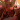 赤兔-头像.png