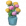简的绣球花盆栽