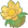 仙人掌花