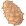 梭梭果