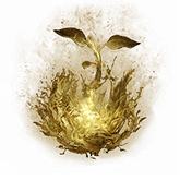 Pic 黄金嫩芽.png