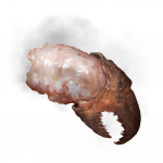 煮熟螃蟹.png