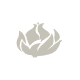 命定花种