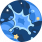对流