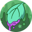 高浓生物碱
